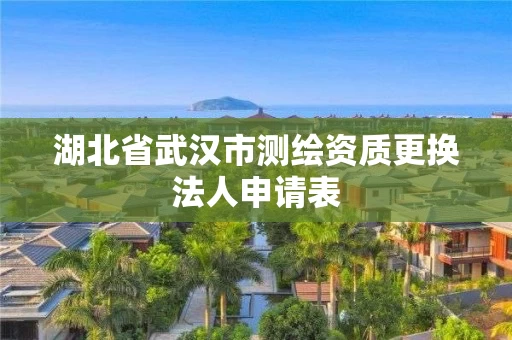 湖北省武汉市测绘资质更换法人申请表 湖北省武汉市测绘资质更换法人申请表