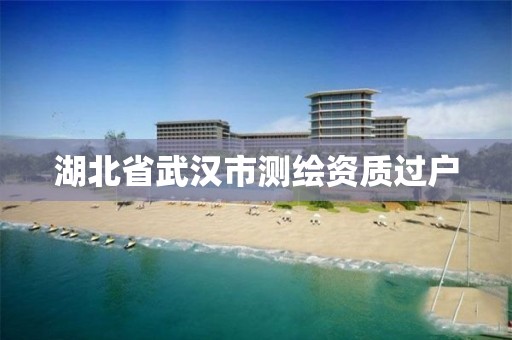 湖北省武汉市测绘资质过户