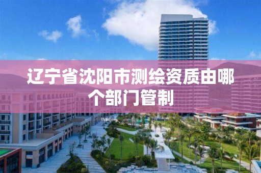 辽宁省沈阳市测绘资质由哪个部门管制