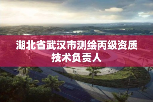 湖北省武汉市测绘丙级资质技术负责人