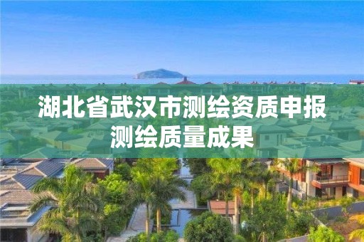 湖北省武汉市测绘资质申报测绘质量成果