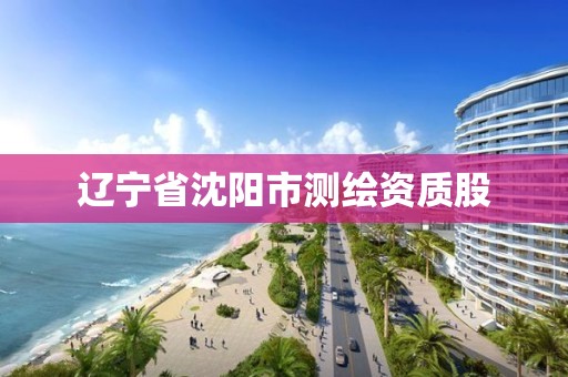 辽宁省沈阳市测绘资质股