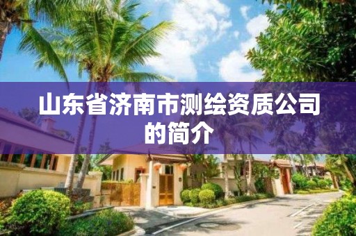 山东省济南市测绘资质公司的简介