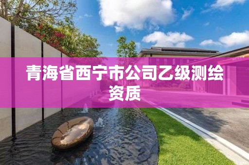 青海省西宁市公司乙级测绘资质