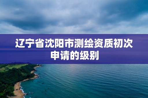 辽宁省沈阳市测绘资质初次申请的级别