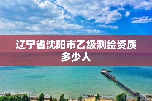 辽宁省沈阳市乙级测绘资质多少人