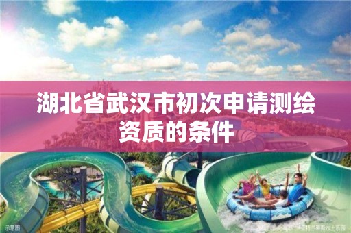 湖北省武汉市初次申请测绘资质的条件