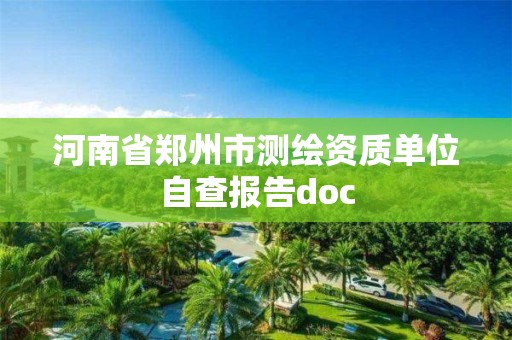 河南省郑州市测绘资质单位自查报告doc