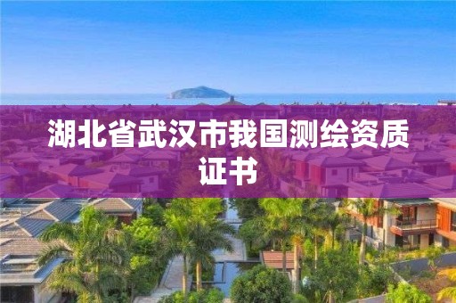 湖北省武汉市我国测绘资质证书