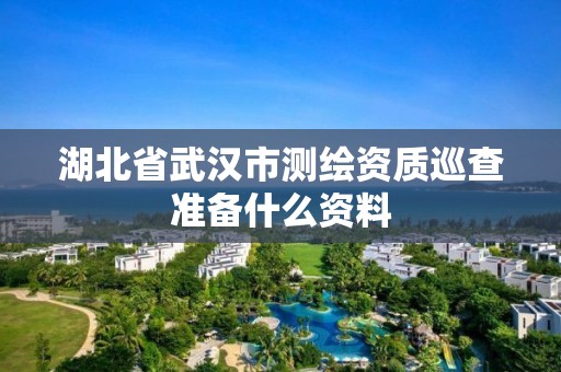 湖北省武汉市测绘资质巡查准备什么资料