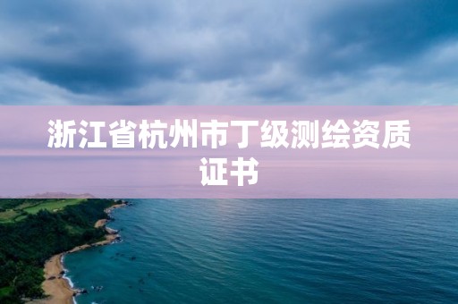 浙江省杭州市丁级测绘资质证书