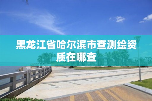 黑龙江省哈尔滨市查测绘资质在哪查