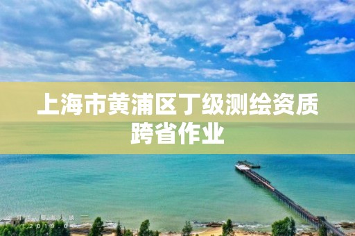 上海市黄浦区丁级测绘资质跨省作业