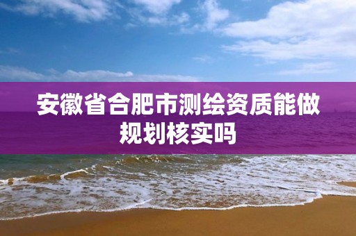 安徽省合肥市测绘资质能做规划核实吗