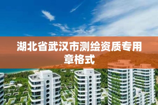 湖北省武汉市测绘资质专用章格式