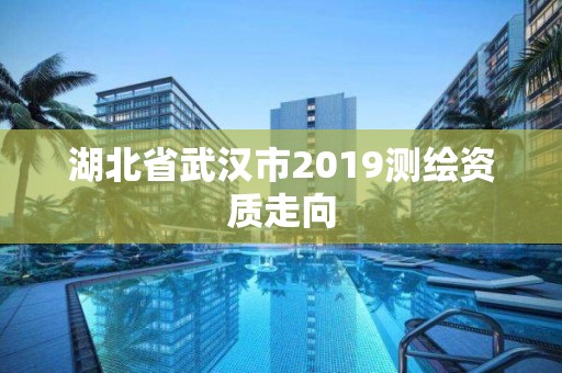 湖北省武汉市2019测绘资质走向