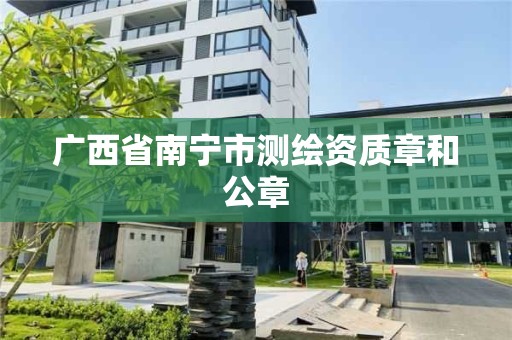 广西省南宁市测绘资质章和公章