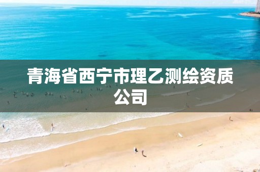 青海省西宁市理乙测绘资质公司