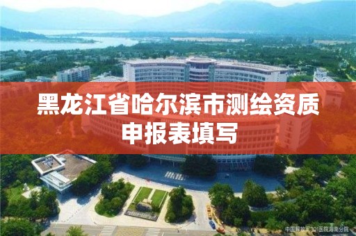 黑龙江省哈尔滨市测绘资质申报表填写