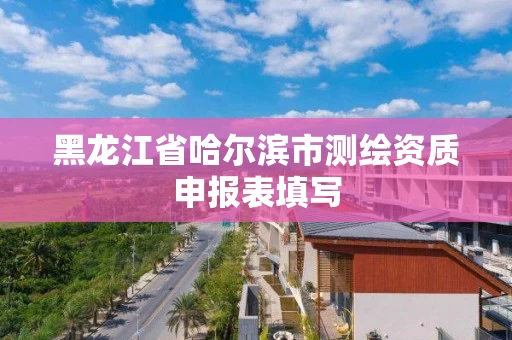 黑龙江省哈尔滨市测绘资质申报表填写 黑龙江省哈尔滨市测绘资质申报表填写