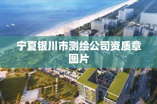 宁夏银川市测绘公司资质章图片