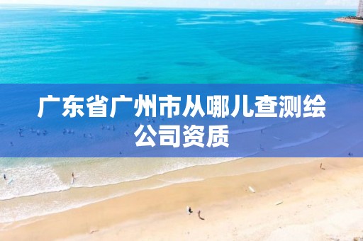 广东省广州市从哪儿查测绘公司资质