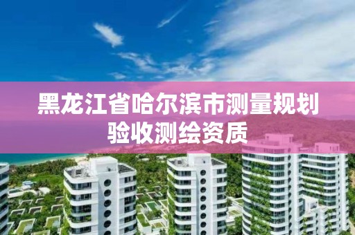 黑龙江省哈尔滨市测量规划验收测绘资质