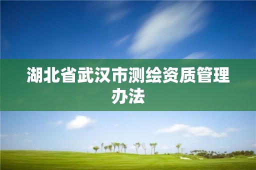 湖北省武汉市测绘资质管理办法