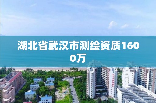 湖北省武汉市测绘资质1600万