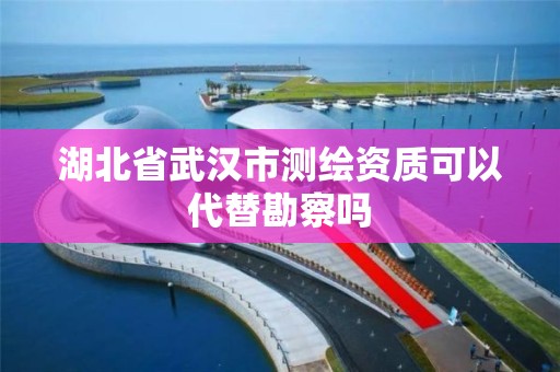 湖北省武汉市测绘资质可以代替勘察吗