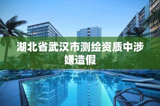 湖北省武汉市测绘资质中涉嫌造假