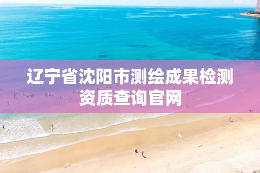 辽宁省沈阳市测绘成果检测资质查询官网