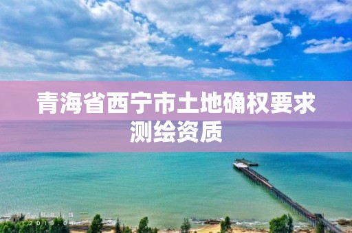 青海省西宁市土地确权要求测绘资质