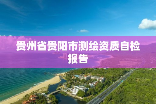 贵州省贵阳市测绘资质自检报告