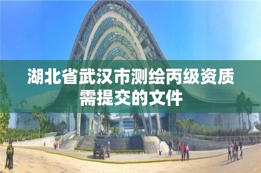 湖北省武汉市测绘丙级资质需提交的文件