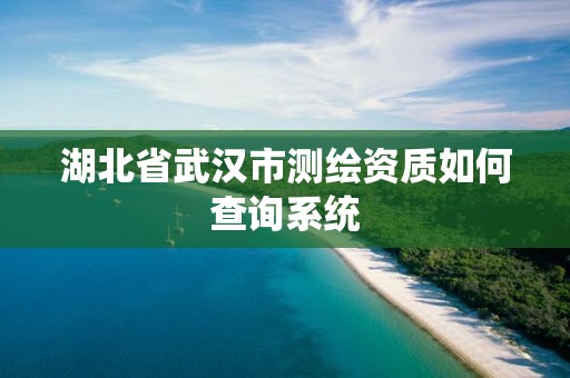 湖北省武汉市测绘资质如何查询系统