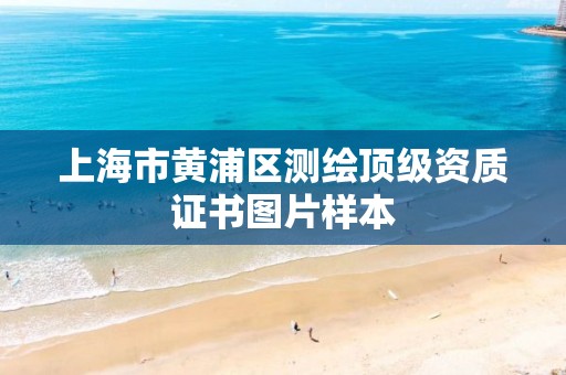 上海市黄浦区测绘顶级资质证书图片样本