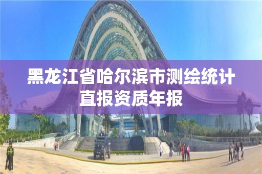 黑龙江省哈尔滨市测绘统计直报资质年报