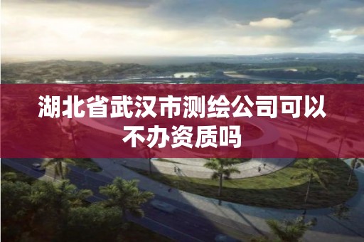 湖北省武汉市测绘公司可以不办资质吗