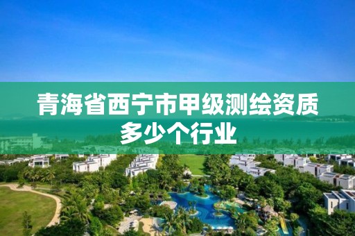 青海省西宁市甲级测绘资质多少个行业