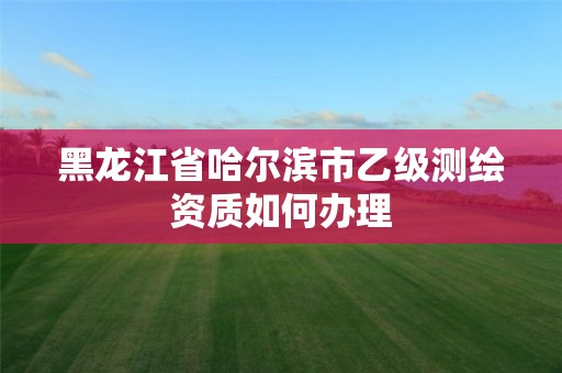 黑龙江省哈尔滨市乙级测绘资质如何办理