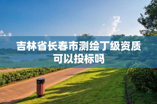 吉林省长春市测绘丁级资质可以投标吗