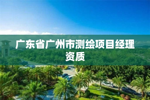 广东省广州市测绘项目经理资质 广东省广州市测绘项目经理资质