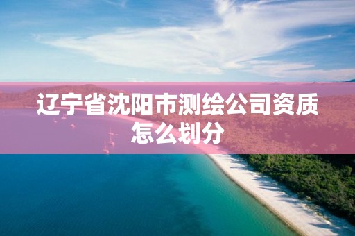 辽宁省沈阳市测绘公司资质怎么划分