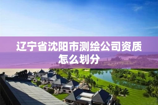 辽宁省沈阳市测绘公司资质怎么划分 辽宁省沈阳市测绘公司资质怎么划分
