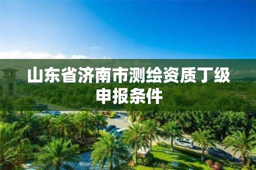 山东省济南市测绘资质丁级申报条件