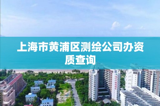 上海市黄浦区测绘公司办资质查询