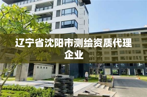 辽宁省沈阳市测绘资质代理企业