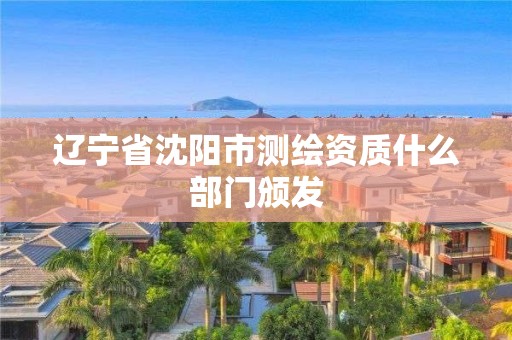 辽宁省沈阳市测绘资质什么部门颁发