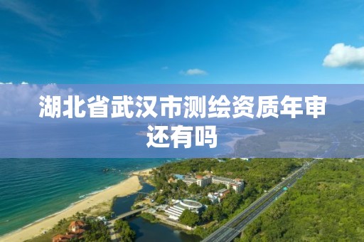 湖北省武汉市测绘资质年审还有吗